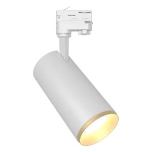 Ansell APRT1/GR/1 Gold Ring Attachment (Fitting not Included)