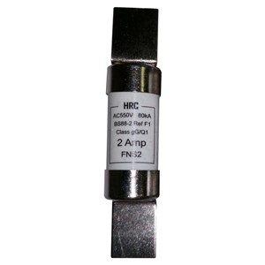 Deligo FNS2<BR> HRC Fuse F1 Type BS88 <BR>2A
